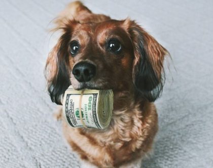 $259/Hour: How Much People THINK Attorneys Charge
